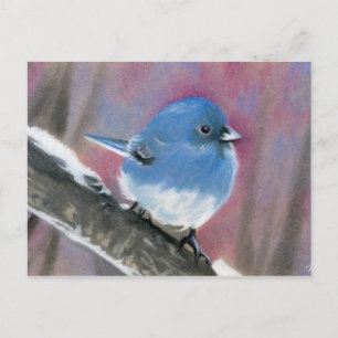 Postkarte für den Winter Schönheitsvogel