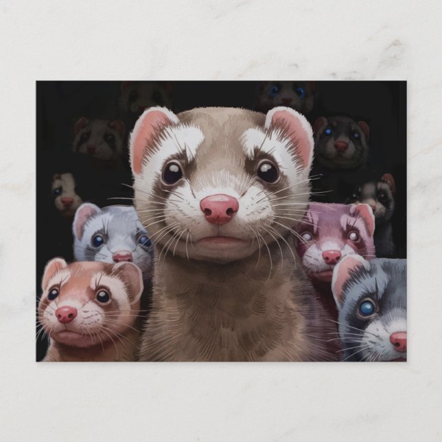 Postkarte für die Familie Ferret (Vorderseite)