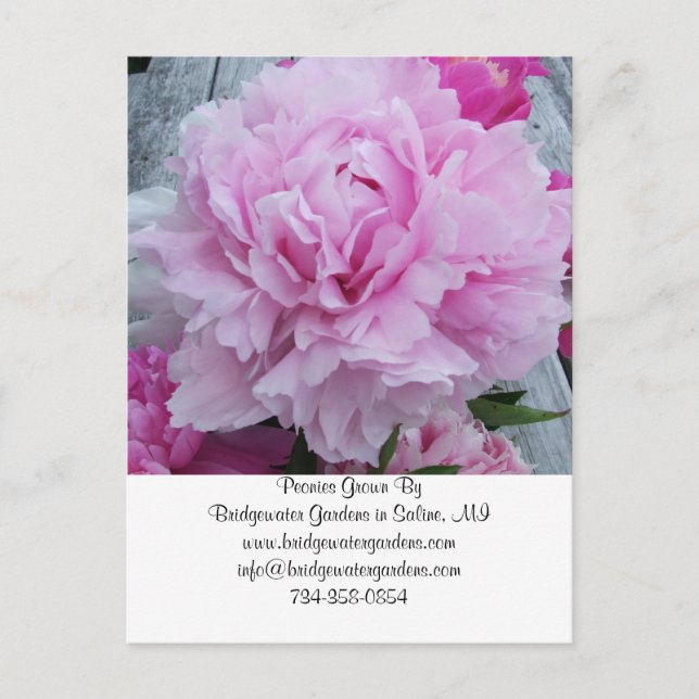Postkarte für die Hochzeit Florist Visitenkarte (Vorderseite)