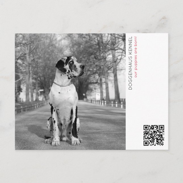 Postkarte für die Puppenankündigung (Vorderseite)