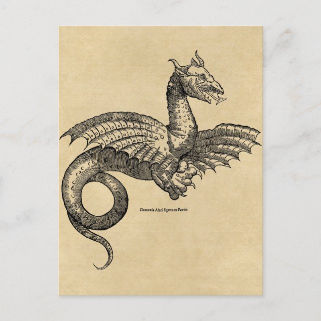 Postkarte für Drachenparchment (Vorderseite)