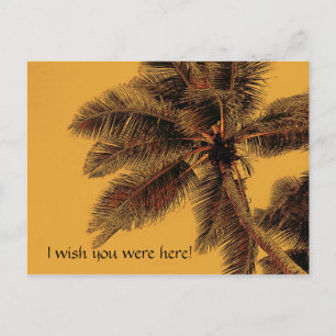 Postkarte für exotische Palmen