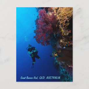 Postkarte für großes Riff