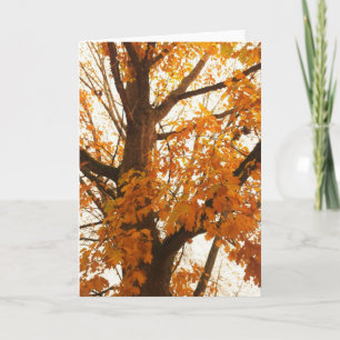 Postkarte für Herbstausgänge