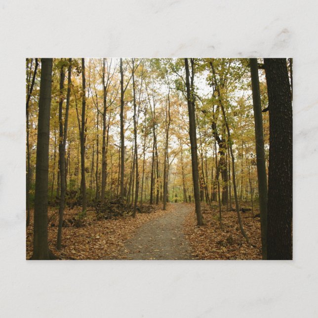 Postkarte für Herbstbaumen (Vorderseite)