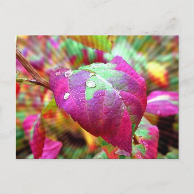 Postkarte für Herbstfarben (Vorderseite)