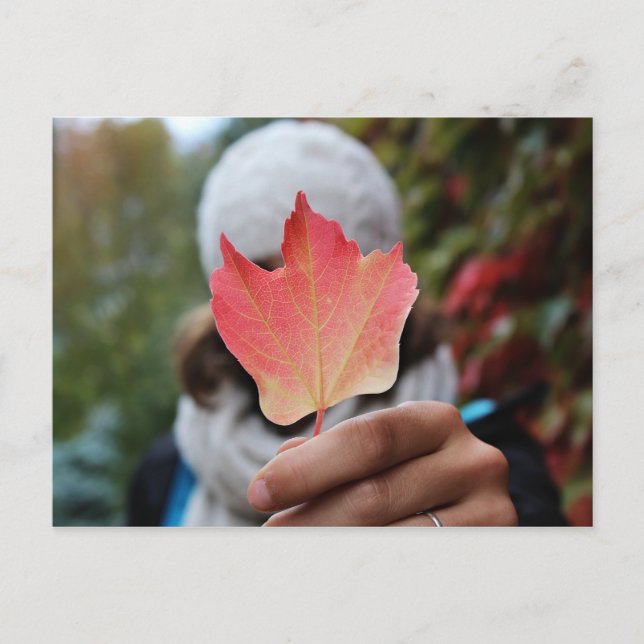 Postkarte für Herbstleaf (Vorderseite)