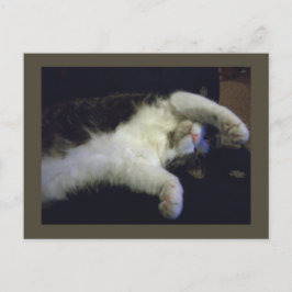 Postkarte für Kinder