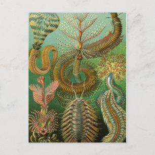 Postkarte für klassische Illustration