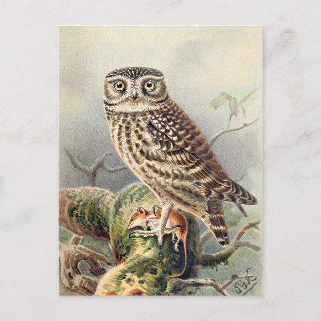 Postkarte für klassische Illustration (Vorderseite)