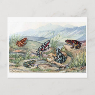 Postkarte für klassische Illustration