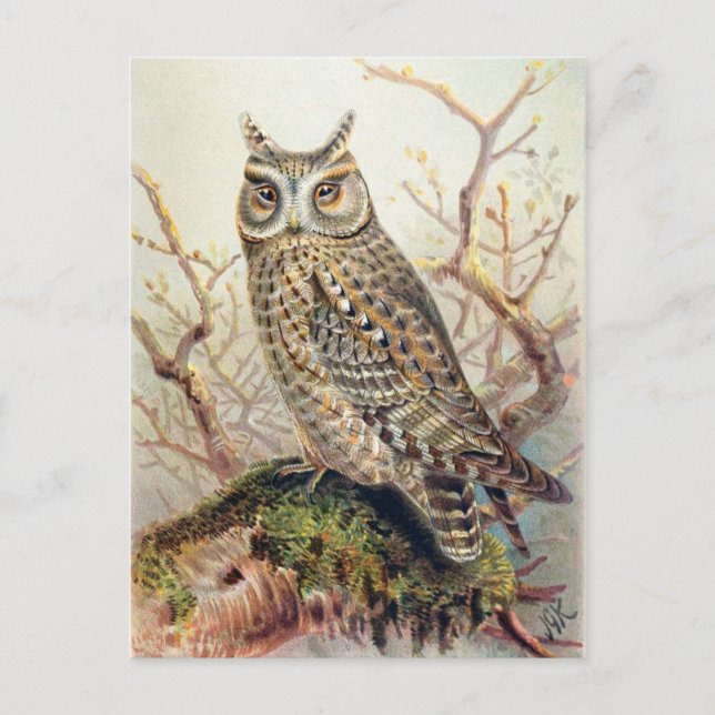 Postkarte für klassische Illustration (Vorderseite)