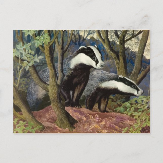 Postkarte für klassische Illustration (Vorderseite)