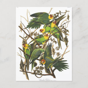 Postkarte für klassische Illustration