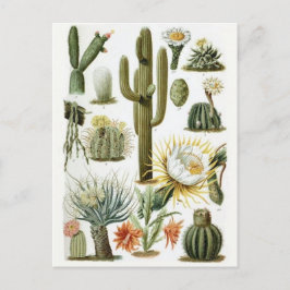 Postkarte für klassische Illustration