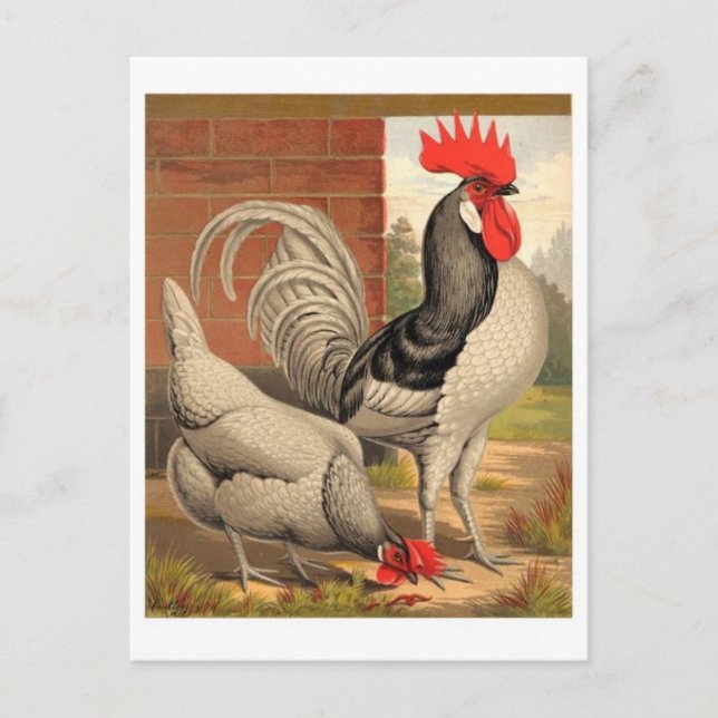 Postkarte für klassische Illustration (Vorderseite)