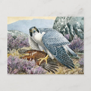 Postkarte für klassische Illustration