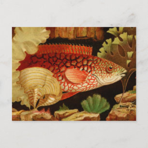 Postkarte für klassische Illustration