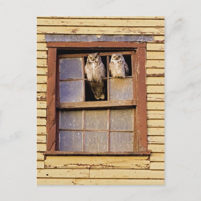 Postkarte für klassisches Foto (Vorderseite)