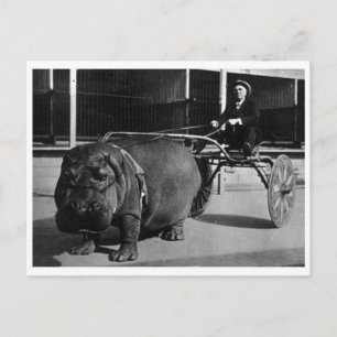 Postkarte für klassisches Foto