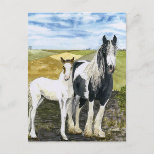Postkarte für Mutter und Fohlen