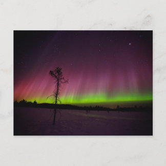 Postkarte für Nordlichter