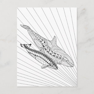 Postkarte für Orca und Baby Erwachsene