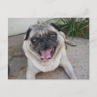 Postkarte für Personalisiertes Foto