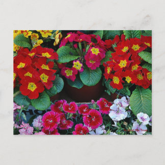 Postkarte für Reisen 4