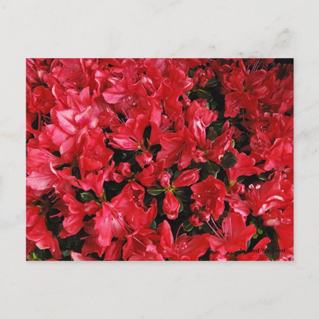 Postkarte für Reisen 5 (Vorderseite)