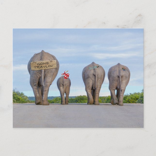 Postkarte für reisende Elefanten (Vorderseite)