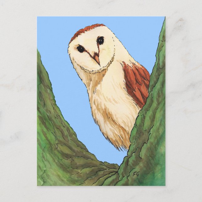 Postkarte für Schneeeuulle (Vorderseite)