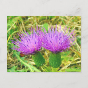 Postkarte für Spalten- oder Felddicken