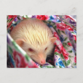 Postkarte für süßen Igel
