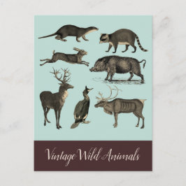 Postkarte für Vintage wild lebende Tiere
