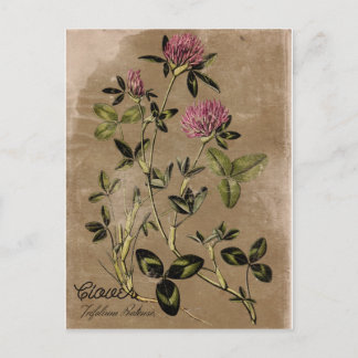 Postkarte für Vintagen Stil