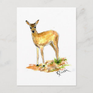 Postkarte für Wildtiere