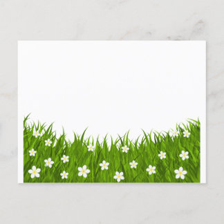 Postkarte Gänseblümchen und Gras