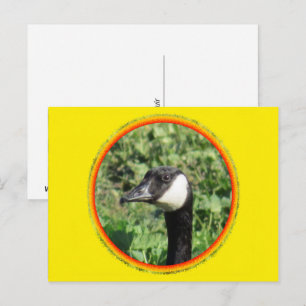 Postkarte - Gänsehaut