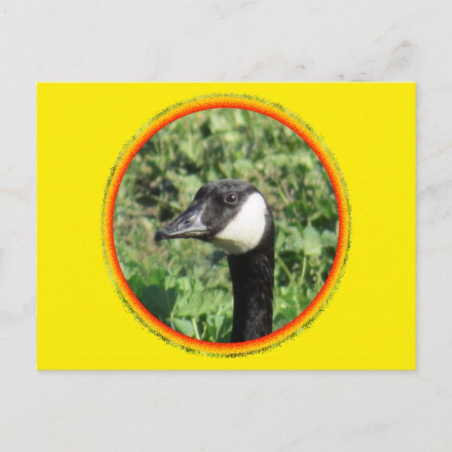 Postkarte - Gänsehaut (Vorderseite)