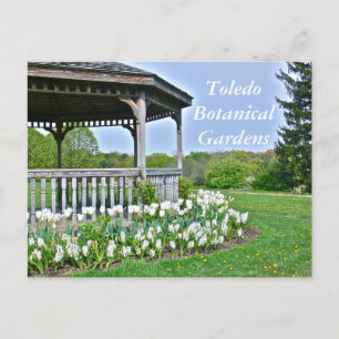 POSTKARTE, "GAZEBO UND WEISSE TULIPS"/TOLEDO BOTAN POSTKARTE