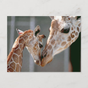 Postkarte Giraffe und Baby