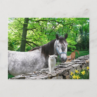 Postkarte "Girlfriends"