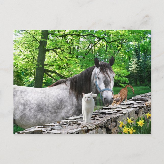 Postkarte "Girlfriends" (Vorderseite)