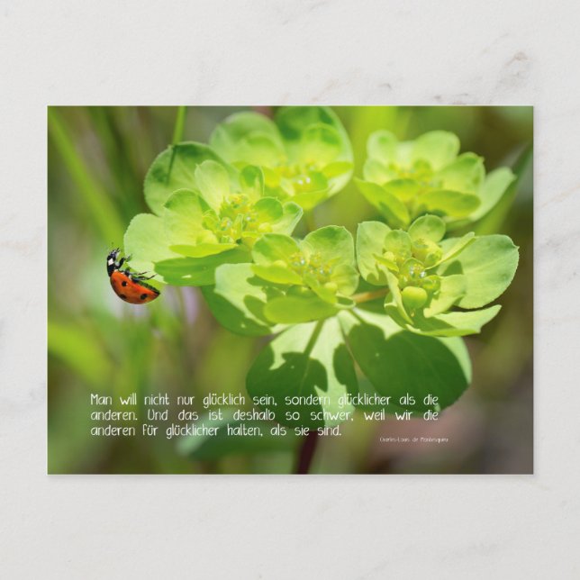 Postkarte Glück (Edition sinn.worte) (Vorderseite)