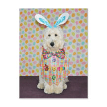 Postkarte Goldendoodle Ostern