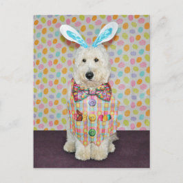 Postkarte Goldendoodle Ostern