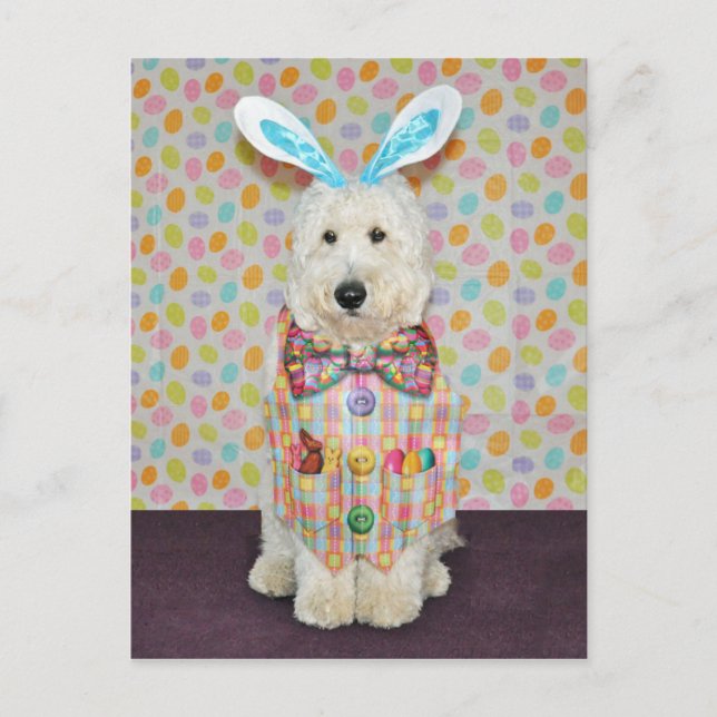 Postkarte Goldendoodle Ostern (Vorderseite)