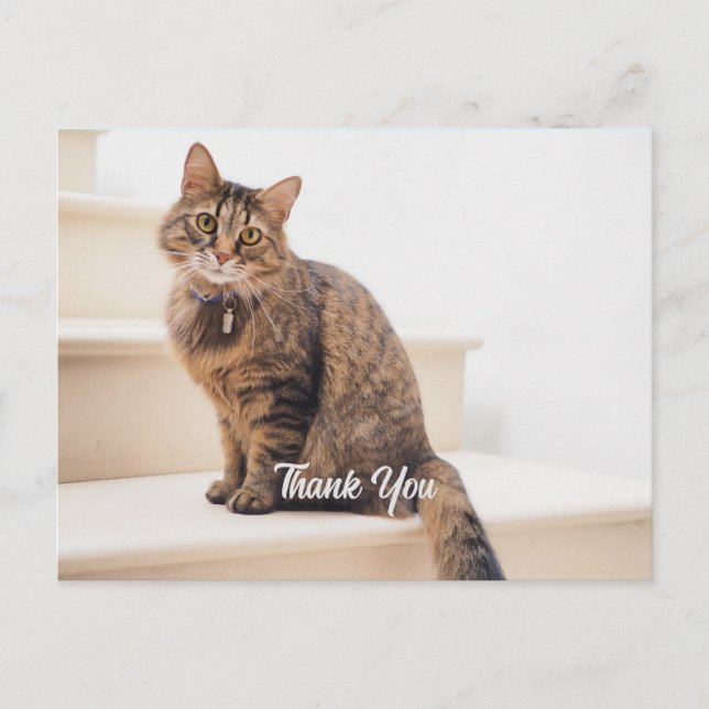 Postkarte, Größe: Standardpostkarte, Papier: Semi- Postkarte (Vorderseite)