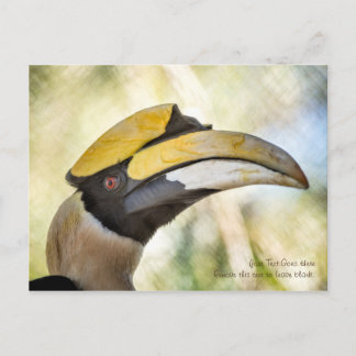 Postkarte: Großer Hornbill 4 Postkarte